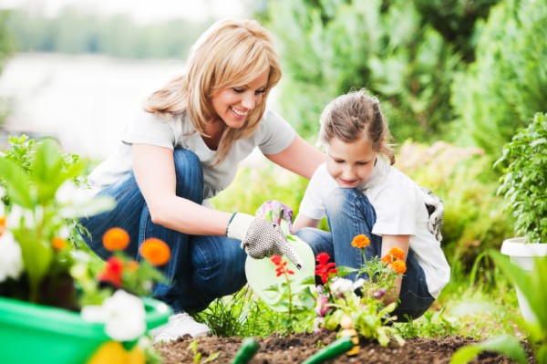 backyard-gardening