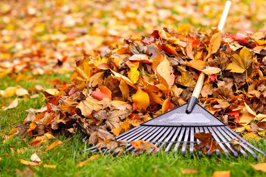 fall-backyard-landscaping